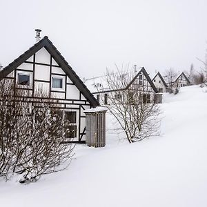 Landal Winterberg